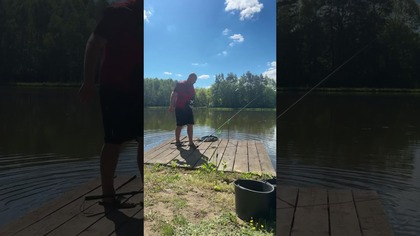 Piękny koń ze Żdżar #fishing #carp #fish #carpfishing #feeder #fishinglife #angler #angling