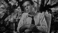 Wielki sen (1946) Lektor pl