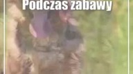 4 owczarki pogryzły chłopca