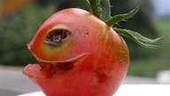 Raaaa dioooo DED!- odcinek specjalny- spotkanie na zywo :)