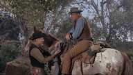 Jastrząb pistoletu (1963) The Gun Hawk [DVDRip] [384p]