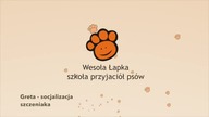 Greta socjalizacja szczeniaka