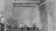 23931