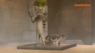 Pingwiny z Madagaskaru:) (Parody)