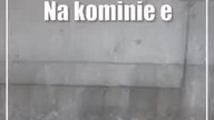 Trzecie jajo Wrotki.  Sokolica idzie na rekord