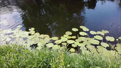 Po Londynie czas na Holandie - Szafarek filmiki z  prywatnych zbiorów