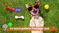 Co uszczęśliwia Twojego psa