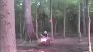 Quad kontra drzewo