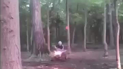 Quad kontra drzewo