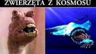 Zwierzęta z Kosmosu - Jak Mogą Wyglądać?