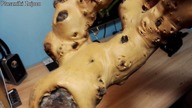 Unpacking paczki z akcesoriami od Bioterr.pl ! CZ2