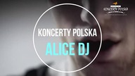 ALICE DJ Koncerty Polska