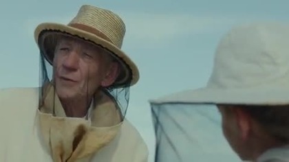 Pan Holmes