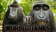 World of Tank #1 Dwaj debile na rowerkach... znaczy się w czołgach