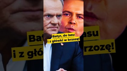 Batyr, do lasu i z główki w brzozę! #Nawrocki #Batyr #Tusk #polityka #Polska