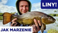 343 LINY JAK MARZENIE!