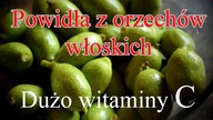 Powidła z orzechów włoskich.  Silny smak i dużo witaminy C