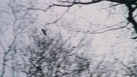 Rozgrzeszenie (1978) - Film