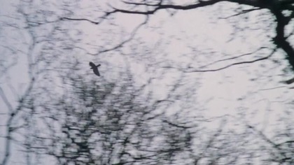 Rozgrzeszenie (1978) - Film