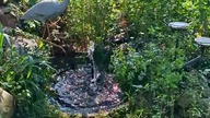 NOWE ŹRÓDEŁKO #W Garden kuRaż