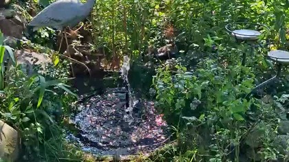 NOWE ŹRÓDEŁKO #W Garden kuRaż