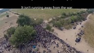 Damian Kroczak - We dont want them here