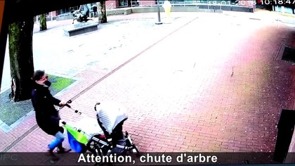 Dobra kompilacja n&deg;265