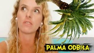 PALMIE ODBIŁA PALMA