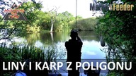 Liny i dziki karp z poligonu wojskowego - Method Feeder