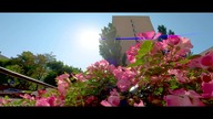 Shmoolky SlideOne GoPro 10 Anamorphic 1. 33 test