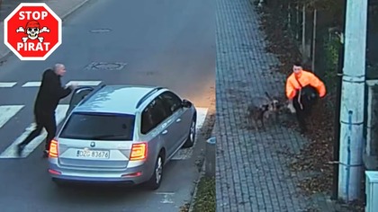 Atak agresywnych psów na chłopca udaremniony przez kierującego Skodą.  STOP PIRAT