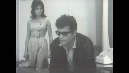 Mix Cybulski Urywek ... Animals VID-1744879228050 (3)