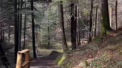 Bieszczadzki Świąteczny spacerek ...  :) #spacer #święta #świątecznie #naświęta #bieszczady #biesy