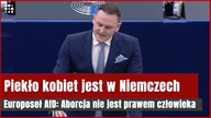 Niemiecki europoseł: Prawdziwe piekło kobiet jest w Niemczech