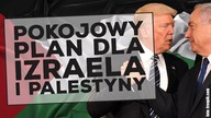 Plan pokojowy dla Bliskiego Wschodu.  Omówienie warunków
