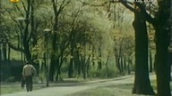 ADOPCJA - KRZYŚ (1984)