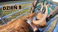 Vlog z farmy.  Budowa poskromu cz. 8