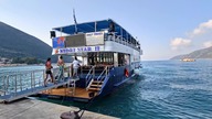 Świnki Na Rajskiej Plaży?! Tego W Grecji Się Nie Spodziewaliśmy