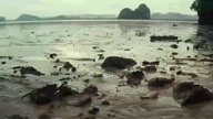 {s1e8} The Real Monsters.