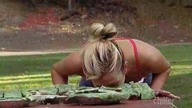 Fear Factor S04E17 Couples Fear Factor 3