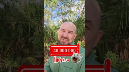 Happy Thanksgiving #shortvideo #thanksgiving #indyk #tradycja #stanyzjednoczone #angielski