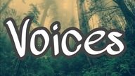 Krzysztof Żelazko - Voices (Original Mix)