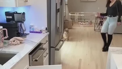 NIE ŚMIEJ SIĘ NR.  13 