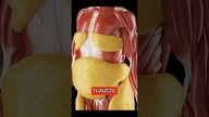 Jak NAPRAWIĆ Sylwetkę SKINNY FAT? #shorts