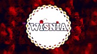 10 ZAJE**STYCH WYNALAZK&Oacute;W (WIŚNIA)