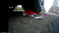 EXPERIMENT: BASKETBALL VS CAR