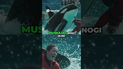 Kyla Spotkanie z Pradawną Mocą! Elise w Szoku!