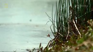 preppers s03e01