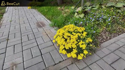 Sobota na działce