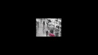 Dzitek - Parasol